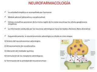 NEUROFARMACOLOGÍA
 La actividad simpática es acompañada por hormonas

 Médula adrenal (adrenalina y noradrenalina).

 Células cromafines provienen de la misma región de la cresta neural que las células ganglionares
  simpáticas

 La información conducida por las neuronas adrenérgicas hacia los tejidos efectores (Nora-drenalina)


 Esquemáticamente, la neurotransmisión adrenérgica se divide en cinco etapas

1) Síntesis del neurotransmisor adrenérgico.

2) Almacenamiento de noradrenalina.

3) Liberación del mediador químico.

4) Estimulación de los receptores adrenérgicos.

5) Terminación de la actividad del neurotransmisor.
 