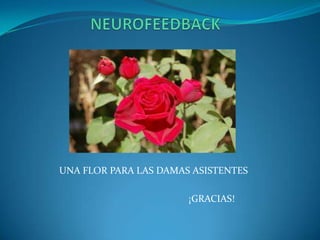                   NEUROFEEDBACK                UNA FLOR PARA LAS DAMAS ASISTENTES                                                                      ¡GRACIAS!