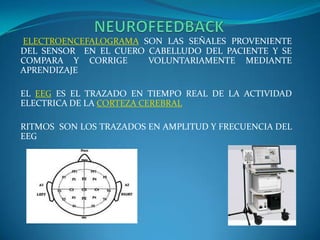                  NEUROFEEDBACKELECTROENCEFALOGRAMA SON LAS SEÑALES PROVENIENTE DEL SENSOR  EN EL CUERO CABELLUDO DEL PACIENTE Y SE COMPARA Y CORRIGE  VOLUNTARIAMENTE MEDIANTE APRENDIZAJE EL EEG ES EL TRAZADO EN TIEMPO REAL DE LA ACTIVIDAD ELECTRICA DE LA CORTEZA CEREBRALRITMOS  SON LOS TRAZADOS EN AMPLITUD Y FRECUENCIA DEL EEG