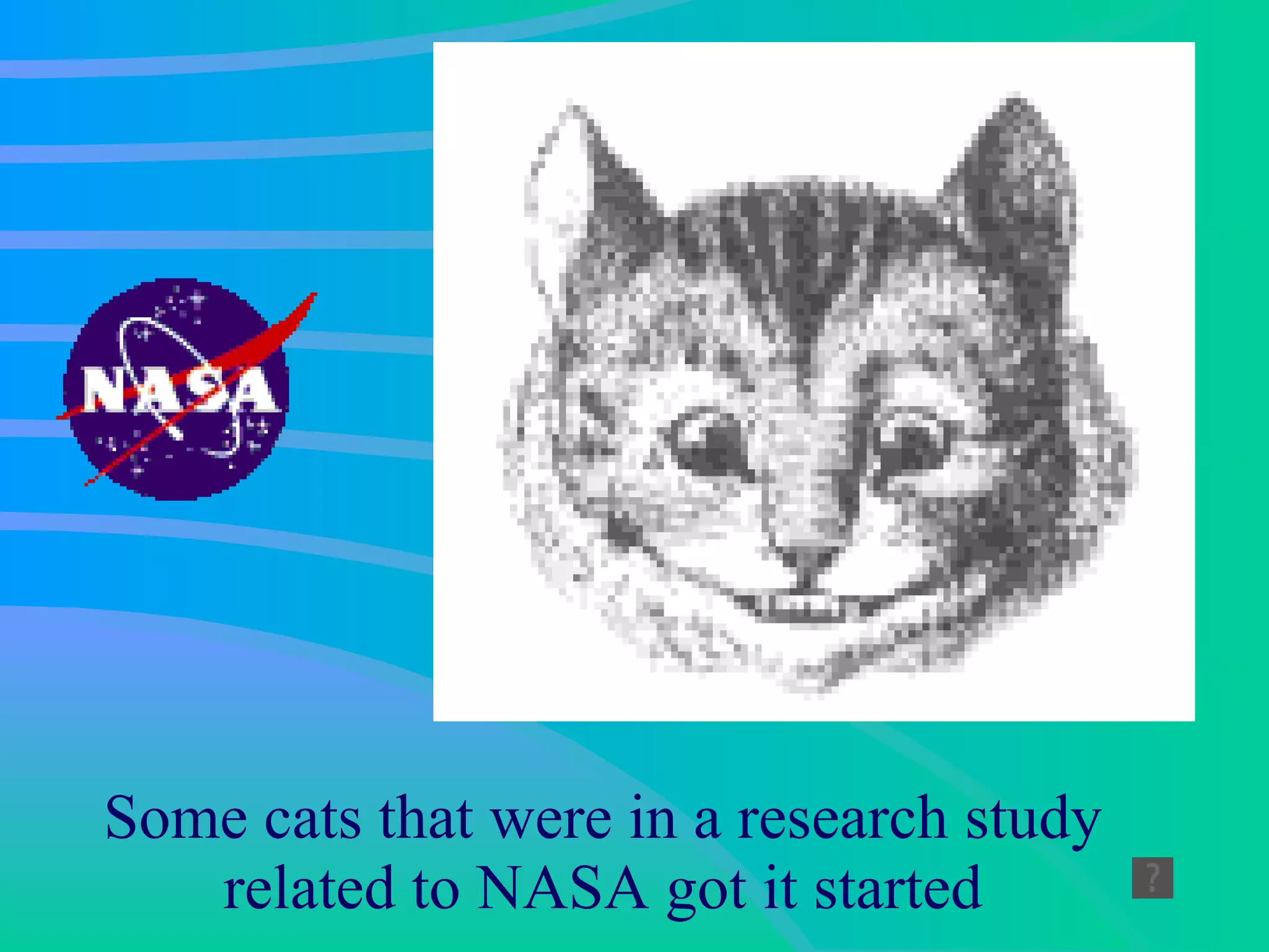 Some cats that were in a research study related to NASA got it started 
