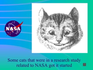 Some cats that were in a research study related to NASA got it started 