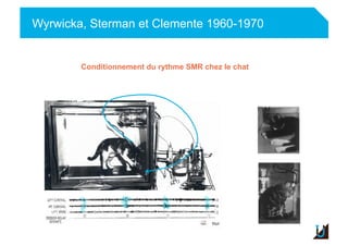 Wyrwicka, Sterman et Clemente 1960-1970
Conditionnement du rythme SMR chez le chat
 