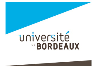 Neurofeedback Psyrene