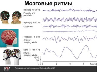 Тестирование тестировщиков. Нейрофидбэк в QA
Мозговые ритмы
 