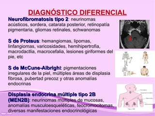 DIAGNÓSTICO DIFERENCIAL
Neurofibromatosis tipo 2: neurinomas
                       2
acústicos, sordera, catarata posterior, retinopatía
pigmentaria, gliomas retinales, schwanomas

S de Proteus: hemangiomas, lipomas,
linfangiomas, varicosidades, hemihipertrofia,
macrodactlia, macrocefalia, lesiones giriformes del
pie, etc

S de McCune-Albright: pigmentaciones
irregulares de la piel, múltiples áreas de displasia
fibrosa, pubertad precoz y otras anomalías
endocrinas

Displasia endocrina múltiple tipo 2B
(MEN2B): neurinomas múltiples de mucosas,
anomalías musculoesqueléticas, feocromocitomas,
diversas manifestaciones endocrinológicas
 