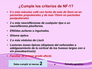 ¿Cumple los criterios de NF-1?
●   6 o más máculas café con leche de más de 5mm en en
    pacientes prepuberales y de mas 15mm en pacientes
    postpuberales
●   2 o más neurofibromas de cualquier tipo o un
    neurofibroma plexiforme.
●   Efélides axilares o inguinales.
●   Glioma óptico
●   2 o más nódulos de Lisch
●   Lesiones óseas típicas (displasia del esfenoides o
    adelgazamiento de la cortical de los huesos largos con o
    sin pseudoartrosis)
●   Familiar de primer grado afecto
    (NIH criterios)
        Debe cumplir al menos   2           Estudio genético
 