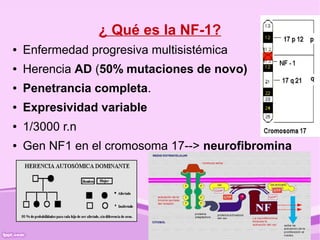 ¿ Qué es la NF-1?
●   Enfermedad progresiva multisistémica
●   Herencia AD (50% mutaciones de novo)
●   Penetrancia completa.
●   Expresividad variable
●   1/3000 r.n
●   Gen NF1 en el cromosoma 17--> neurofibromina
 