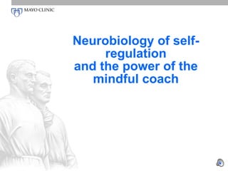 Neurobiology of self-regulation and the power of the mindful coach 