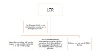 Lcr Normal Range Neurofisiologia avances y actualizaciones | PPTX