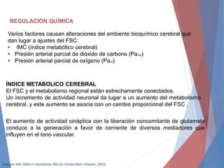 REGULACIÓN QUÍMICA
Varios factores causan alteraciones del ambiente bioquímico cerebral que
dan lugar a ajustes del FSC:
• IMC (índice metabólico cerebral)
• Presión arterial parcial de dióxido de carbono (Paco2)
• Presión arterial parcial de oxígeno (Pao2)
ÍNDICE METABOLICO CEREBRAL
El FSC y el metabolismo regional están estrechamente conectados.
Un incremento de actividad neuronal da lugar a un aumento del metabolismo
cerebral, y este aumento se asocia con un cambio proporcional del FSC .
El aumento de actividad sináptica con la liberación concomitante de glutamato
conduce a la generación a favor de corriente de diversos mediadores que
influyen en el tono vascular.
Gropper MA. Miller’s anesthesia. 9th ed. Amsterdam: Elsevier; 2019.
 
