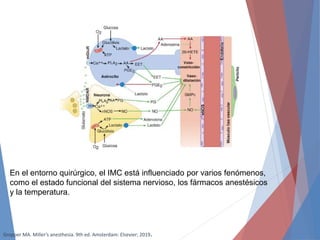 En el entorno quirúrgico, el IMC está influenciado por varios fenómenos,
como el estado funcional del sistema nervioso, los fármacos anestésicos
y la temperatura.
Gropper MA. Miller’s anesthesia. 9th ed. Amsterdam: Elsevier; 2019.
 