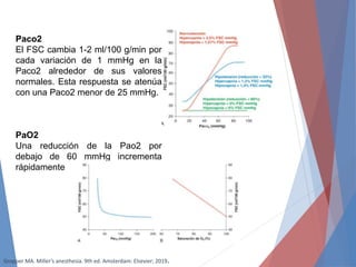 Paco2
El FSC cambia 1-2 ml/100 g/min por
cada variación de 1 mmHg en la
Paco2 alrededor de sus valores
normales. Esta respuesta se atenúa
con una Paco2 menor de 25 mmHg.
PaO2
Una reducción de la Pao2 por
debajo de 60 mmHg incrementa
rápidamente el FSC .
Gropper MA. Miller’s anesthesia. 9th ed. Amsterdam: Elsevier; 2019.
 
