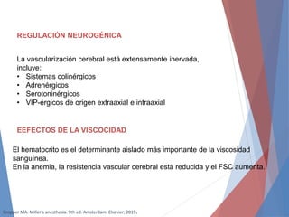 REGULACIÓN NEUROGÉNICA
La vascularización cerebral está extensamente inervada,
incluye:
• Sistemas colinérgicos
• Adrenérgicos
• Serotoninérgicos
• VIP-érgicos de origen extraaxial e intraaxial
EEFECTOS DE LA VISCOCIDAD
El hematocrito es el determinante aislado más importante de la viscosidad
sanguínea.
En la anemia, la resistencia vascular cerebral está reducida y el FSC aumenta.
Gropper MA. Miller’s anesthesia. 9th ed. Amsterdam: Elsevier; 2019.
 