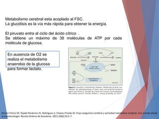 Metabolismo cerebral esta acoplado al FSC.
La glucólisis es la vía más rápida para obtener la energía.
El piruvato entra al ciclo del ácido cítrico .
Se obtiene un máximo de 38 moléculas de ATP por cada
molécula de glucosa.
En ausencia de O2 se
realiza el metabolismo
anaerobio de la glucosa
para formar lactato.
Rincón Flórez DF, Tejada Perdomo JH, Rodríguez JJ, Chaves Pineda JD. Flujo sanguíneo cerebral y actividad metabólica cerebral. Una mirada desde
la anestesiología. Revista Chilena de Anestesia. 2021;50(6):912–7.
 