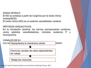 ÓXIDO NÍTRICO
El NO se sintetiza a partir de l-arginina por la óxido nítrico
sintasa(NOS).
El óxido nítrico (NO) es un potente vasodilatador cerebral.
PÉPTIDOS VASOACTIVOS
En la circulación cerebral, los nervios perivasculares contienen
varios péptidos vasodilatadores, incluidos sustancia P y
neuroquinina.
CANALES DE K+
Los canales de potasio desencadenan la salida de potasio.
Hiperpolariza la membrana celular
Cierra los canales de calcio dependientes
de voltaje
Relaja los músculos
Cottrell JE, Patel P. Cottrell and Patel’s neuroanesthesia. Edinburgh: Elsevier; 2017.
 