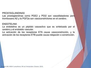 PROSTAGLANDINAS
Las prostaglandinas como PGE2 y PGI2 son vasodilatadores pero
tromboxano A2 y la PGF2α son vasoconstrictores en el cerebro.
ENDOTELINA
La endotelina es un péptido vasoactivo que es sintetizado por el
cerebro y el endotelio vascular.
La activación de los receptores ETA causa vasoconstricción, y la
activación de los receptores ETB puede causa relajación o constricción.
Gropper MA. Miller’s anesthesia. 9th ed. Amsterdam: Elsevier; 2019.
 