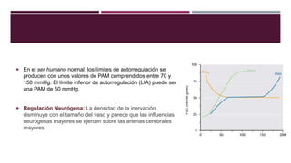  En el ser humano normal, los límites de autorregulación se
producen con unos valores de PAM comprendidos entre 70 y
150 mmHg. El límite inferior de autorregulación (LIA) puede ser
una PAM de 50 mmHg.
 Regulación Neurógena: La densidad de la inervación
disminuye con el tamaño del vaso y parece que las influencias
neurógenas mayores se ejercen sobre las arterias cerebrales
mayores.
 