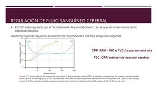  El FSC está regulado por el “acoplamiento flujometabolismo”, en el que los incrementos de la
actividad eléctrica
neuronal regional requieren aumentos correspondientes del flujo sanguíneo regional.
CPP: PAM - PIC o PVC, la que sea más alta
FSC: CPP/ resistencia vascular cerebral
REGULACIÓN DE FLUJO SANGUÍNEO CEREBRAL
 