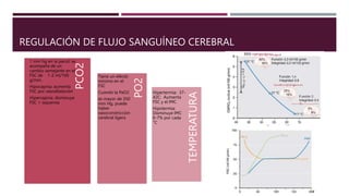 TEMPERATURA
PO2
PCO2
1 mm hg en la paco2 se
acompaña de un
cambio semejante en el
FSC de 1-2 ml/100
g/min.
Hipocapnia: aumenta
FSC por vasodilatación
Hipercapnia: disminuye
FSC = isquemia
Tiene un efecto
mínimo en el
FSC
Cuando la PaO2
es mayor de 350
mm Hg, puede
haber
vasoconstricción
cerebral ligera
Hipertermia: 37-
42C: Aumenta
FSC y el IMC
Hipotermia:
Disminuye IMC
6-7% por cada
°C
REGULACIÓN DE FLUJO SANGUÍNEO CEREBRAL
 