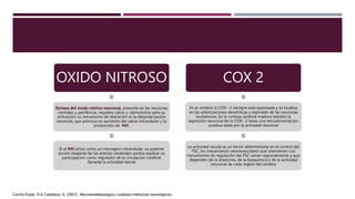 OXIDO NITROSO
Sintasa del óxido nítrico neuronal, presente en las neuronas
centrales y periféricas, requiere calcio y calmodulina para su
activación; su mecanismo de liberación es la despolarización
neuronal, que provoca un aumento del calcio intracelular y la
producción de NO.
Si el NO actúa como un mensajero intracelular, su potente
acción relajante de las arterias cerebrales podría explicar su
participación como regulador de la circulación cerebral
durante la actividad neural
COX 2
En el cerebro la COX--2 siempre está expresada y se localiza
en las arborizaciones dendríticas y espinales de las neuronas
excitatorias. En la corteza cerebral madura (adulto) la
expresión neuronal de la COX--2 tiene una retroalimentación
positiva dada por la actividad neuronal
La actividad neural es un factor determinante en el control del
FSC, los mecanismos neurovasculares que intervienen Los
mecanismos de regulación del FSC varían regionalmente y que
dependen de la anatomía, de la bioquímica y de la actividad
neuronal de cada región del cerebro
Carrillo Esper, R & Castelazo, A. (2007). Neuroanestesiologia y cuidados intensivos neurologicos.
 