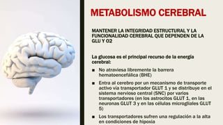 METABOLISMO CEREBRAL
MANTENER LA INTEGRIDAD ESTRUCTURAL Y LA
FUNCIONALIDAD CEREBRAL QUE DEPENDEN DE LA
GLU Y O2
La glucosa es el principal recurso de la energía
cerebral:
■ No atraviesa libremente la barrera
hematoencefálica (BHE)
■ Entra al cerebro por un mecanismo de transporte
activo vía transportador GLUT 1 y se distribuye en el
sistema nervioso central (SNC) por varios
transportadores (en los astrocitos GLUT 1, en las
neuronas GLUT 3 y en las células microgliales GLUT
5)
■ Los transportadores sufren una regulación a la alta
en condiciones de hipoxia
 