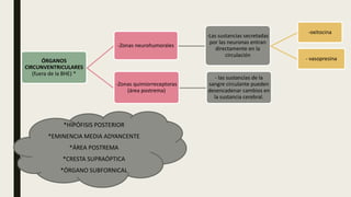 ÓRGANOS
CIRCUNVENTRICULARES
(fuera de la BHE) *
-Zonas neurohumorales
-Las sustancias secretadas
por las neuronas entran
directamente en la
circulación
-oxitocina
- vasopresina
-Zonas quimiorreceptoras
(área postrema)
- las sustancias de la
sangre circulante pueden
desencadenar cambios en
la sustancia cerebral.
*HIPÓFISIS POSTERIOR
*EMINENCIA MEDIA ADYANCENTE
*ÁREA POSTREMA
*CRESTA SUPRAÓPTICA
*ÓRGANO SUBFORNICAL
 
