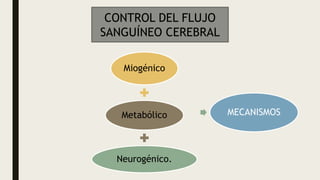 Miogénico
Metabólico
Neurogénico.
MECANISMOS
CONTROL DEL FLUJO
SANGUÍNEO CEREBRAL
 
