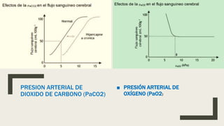PRESION ARTERIAL DE
DIOXIDO DE CARBONO (PaCO2)
■ PRESIÓN ARTERIAL DE
OXÍGENO (PaO2)
 