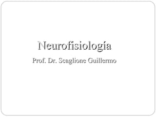 Neurofisiología Prof. Dr. Scaglione Guillermo 