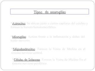 Tipos  de  neuroglias * Astrocitos : Se ubican junto a ciertos capilares del cerebro y forman la barrera hematoencefálica. * Microglias : Actúan frente a la inflamación y daños del tejido nervioso. * Oligodendrocitos : Forman la Vaina de Mielina en el sistema nervioso central. * Células de Schawnn : Forman la Vaina de Mielina En el sistema nervioso periférico. 