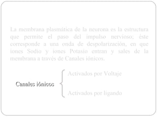 La membrana plasmática de la neurona es la estructura que permite el paso del impulso nervioso; éste corresponde a una onda de despolarización, en que iones Sodio y iones Potasio entran y sales de la membrana a través de Canales iónicos. Canales iónicos Activados por Voltaje Activados por ligando 