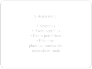Sistema motor •  Neuronas •  Haces centrales •  Haces periféricos •  Efectores: placa neuromuscular músculo estriado 