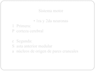 Sistema motor •  1ra y 2da neuronas 􀂃  Primera: 􀂃  corteza cerebral 􀂃  Segunda: 􀂃  asta anterior medular 􀂃  núcleos de origen de pares craneales 