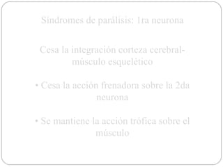 Síndromes de parálisis: 1ra neurona Cesa la integración corteza cerebral-músculo esquelético •  Cesa la acción frenadora sobre la 2da neurona •  Se mantiene la acción trófica sobre el músculo 