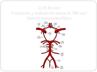 LCR 80 cm3 Formación y reabsorción diaria de 500 cm3 Barrera hematoencefálica 