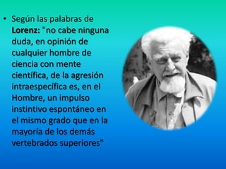• Según las palabras de
Lorenz: "no cabe ninguna
duda, en opinión de
cualquier hombre de
ciencia con mente
científica, de la agresión
intraespecífica es, en el
Hombre, un impulso
instintivo espontáneo en
el mismo grado que en la
mayoría de los demás
vertebrados superiores"
 