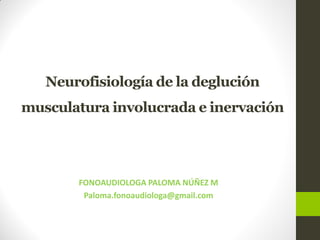 Neurofisiología de la deglución
musculatura involucrada e inervación
FONOAUDIOLOGA PALOMA NÚÑEZ M
Paloma.fonoaudiologa@gmail.com
 