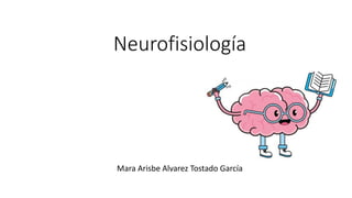 Neurofisiología
Mara Arisbe Alvarez Tostado García
 