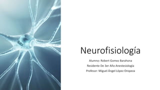 Neurofisiología
Alumno: Robert Gomez Barahona
Residente De 3er Año Anestesiología
Profesor: Miguel Ángel López Oropeza
 