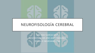 NEUROFISOLOGÍA CEREBRAL
DRA KEILY GARCIA SOLIS
RESIDENTE DE 3ER AÑO ANESTESIOLOGÍA
MÓDULO: NEUROANESTESIA
 