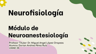 Neurofisiología
Módulo de
Neuroanestesiología
Profesor Titular: Dr. Miguel Angel López Oropeza
Alumno: Dorian Andrea Pérez Ruiz
UMAE 25
 