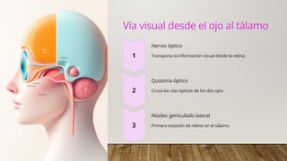 Neurofisiologia-central-de-la-vision.pptx