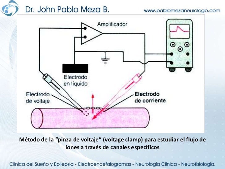 Resultado de imagen para pinza de voltaje