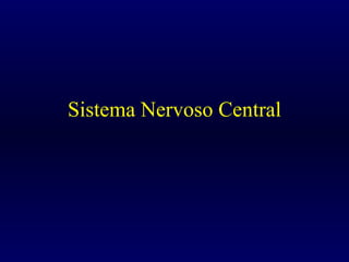 Sistema Nervoso Central 