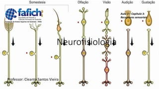 Neurofisiologia
Professor: Cleanto Santos Vieira
Aula 3 – Capítulo 3:
Receptores sensoriais
 