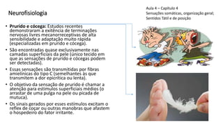Neurofisiologia
• Prurido e cócega: Estudos recentes
demonstraram a exitência de terminações
nervosas livres mecanorreceptivas de alta
sensibilidade e adaptação muito rápida
(especializadas em prurido e cócega).
• São encontradas quase exclusivamente nas
camadas superficiais da pele (único tecido em
que as sensações de prurido e cócegas podem
ser detectadas).
• Essas sensações são transmitidas por fibras
amielínicas do tipo C (semelhantes às que
transmitem a dor epicrítica ou lenta).
• O objetivo da sensação de prurido é chamar a
atenção para estimulos superficiais médios (o
arrastar de uma pulga na pele ou picada de
mutuca).
• Os sinais gerados por esses estímulos excitam o
reflex de coçar ou outras manobras que afastem
o hospedeiro do fator irritante.
Aula 4 – Capítulo 4
Sensações somáticas, organização geral;
Sentidos Tátil e de posição
 