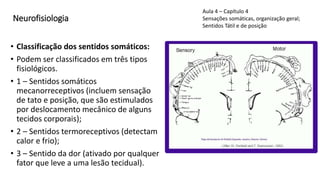 Neurofisiologia
• Classificação dos sentidos somáticos:
• Podem ser classificados em três tipos
fisiológicos.
• 1 – Sentidos somáticos
mecanorreceptivos (incluem sensação
de tato e posição, que são estimulados
por deslocamento mecânico de alguns
tecidos corporais);
• 2 – Sentidos termoreceptivos (detectam
calor e frio);
• 3 – Sentido da dor (ativado por qualquer
fator que leve a uma lesão tecidual).
Aula 4 – Capítulo 4
Sensações somáticas, organização geral;
Sentidos Tátil e de posição
 
