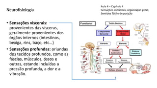 Neurofisiologia
• Sensações viscerais:
provenientes das vísceras,
geralmente provenientes dos
órgãos internos (intestinos,
bexiga, rins, baço, etc…)
• Sensações profundas: oriundas
dos tecidos profundos, como as
fáscias, músculos, óssos e
outras, estando incluídas a
pressão profunda, a dor e a
vibração.
Aula 4 – Capítulo 4
Sensações somáticas, organização geral;
Sentidos Tátil e de posição
 