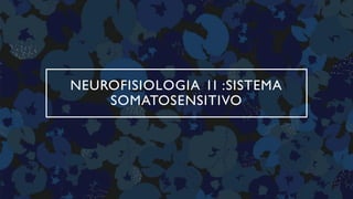 NEUROFISIOLOGIA 1I :SISTEMA
SOMATOSENSITIVO
 