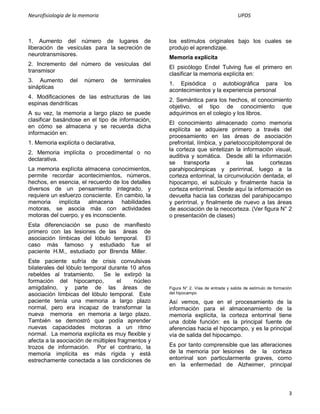 Neurofisiologia de la memoria                                                        UPDS



1. Aumento del número de lugares de                los estímulos originales bajo los cuales se
liberación de vesículas para la secreción de       produjo el aprendizaje.
neurotransmisores.
                                                   Memoria explícita
2. Incremento del número de vesículas del
                                                   El psicólogo Endel Tulving fue el primero en
transmisor
                                                   clasificar la memoria explícita en:
3. Aumento       del   número    de   terminales
                                                   1. Episódica o autobiográfica para                        los
sinápticas
                                                   acontecimientos y la experiencia personal
4. Modificaciones de las estructuras de las
                                                   2. Semántica para los hechos, el conocimiento
espinas dendríticas
                                                   objetivo, el tipo de conocimiento que
A su vez, la memoria a largo plazo se puede        adquirimos en el colegio y los libros.
clasificar basándose en el tipo de información,
                                                   El conocimiento almacenado como memoria
en cómo se almacena y se recuerda dicha
                                                   explícita se adquiere primero a través del
información en:
                                                   procesamiento en las áreas de asociación
1. Memoria explícita o declarativa,                prefrontal, límbica, y parietooccipitotemporal de
                                                   la corteza que sintetizan la información visual,
2. Memoria implícita o procedimental o no
                                                   auditiva y somática. Desde allí la información
declarativa.
                                                   se transporta           a      las       cortezas
La memoria explícita almacena conocimientos,       parahipocámpicas y perirrinal, luego a la
permite recordar acontecimientos, números,         corteza entorrinal, la circunvolución dentada, el
hechos, en esencia, el recuerdo de los detalles    hipocampo, el subículo y finalmente hacia la
diversos de un pensamiento integrado, y            corteza entorrinal. Desde aquí la información es
requiere un esfuerzo consciente. En cambio, la     devuelta hacia las cortezas del parahipocampo
memoria implícita almacena habilidades             y perirrinal, y finalmente de nuevo a las áreas
motoras, se asocia más con actividades             de asociación de la neocorteza. (Ver figura N° 2
motoras del cuerpo, y es inconsciente.             o presentación de clases)
Esta diferenciación se puso de manifiesto
primero con las lesiones de las áreas de
asociación límbicas del lóbulo temporal. El
caso más famoso y estudiado fue el
paciente H.M., estudiado por Brenda Miller.
Este paciente sufría de crisis convulsivas
bilaterales del lóbulo temporal durante 10 años
rebeldes al tratamiento.      Se le extirpó la
formación del hipocampo,           el    núcleo
amigdalino, y parte de las áreas de                Figura N° 2. Vías de entrada y salida de estímulo de formación
asociación límbicas del lóbulo temporal. Este      del hipocampo
paciente tenía una memoria a largo plazo           Así vemos, que en el procesamiento de la
normal, pero era incapaz de transformar la         información para el almacenamiento de la
nueva memoria en memoria a largo plazo.            memoria explícita, la corteza entorrinal tiene
También se demostró que podía aprender             una doble función: es la principal fuente de
nuevas capacidades motoras a un ritmo              aferencias hacia el hipocampo, y es la principal
normal. La memoria explícita es muy flexible y     vía de salida del hipocampo.
afecta a la asociación de múltiples fragmentos y
trozos de información. Por el contrario, la        Es por tanto comprensible que las alteraciones
memoria implícita es más rígida y está             de la memoria por lesiones de la corteza
estrechamente conectada a las condiciones de       entorrinal son particularmente graves, como
                                                   en la enfermedad de Alzheimer, principal



                                                                                                               3
 